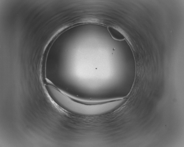 X0000082751139200702161953