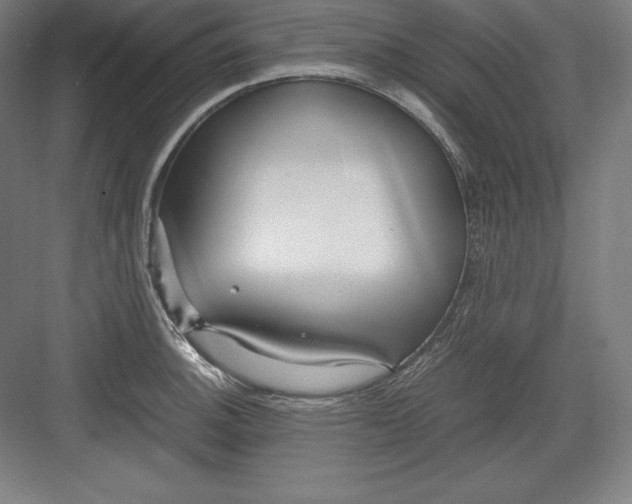X0000082751140200702161953