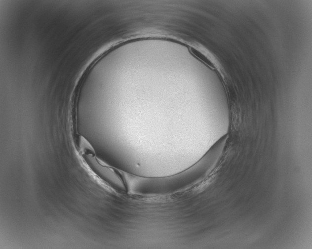 X0000082751142200702161953