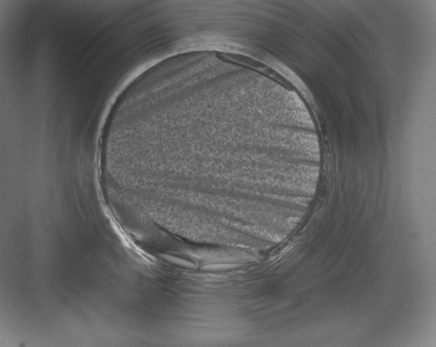 X0000082751144200702161953
