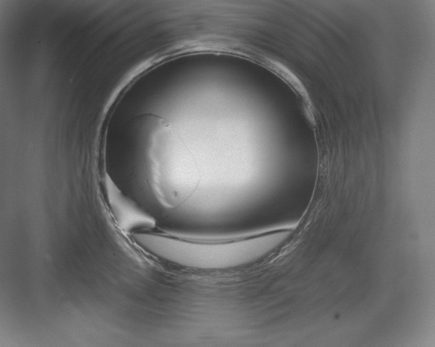 X0000082751146200702161953