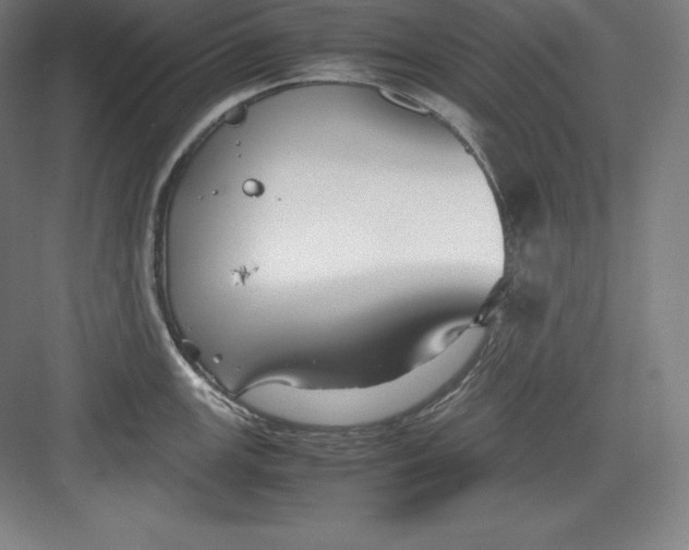 X0000082751147200702161953