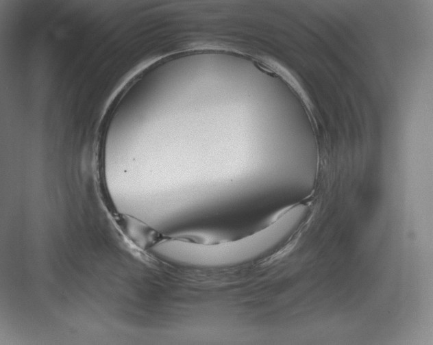 X0000082751149200702161953