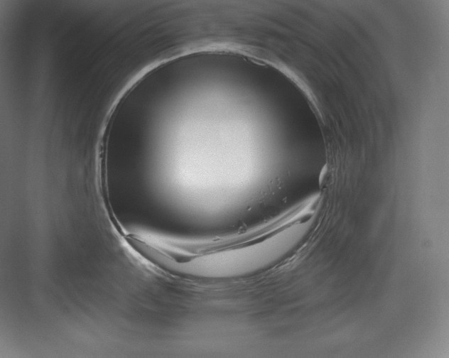 X0000082751151200702161953