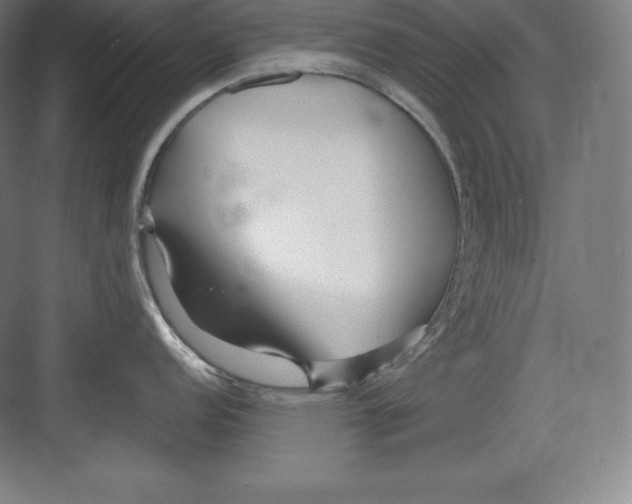 X0000082751152200702161953