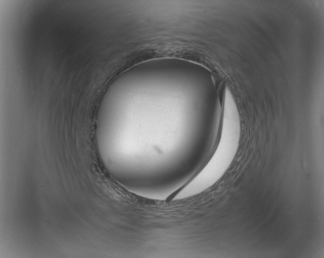 X0000082751153200702161952