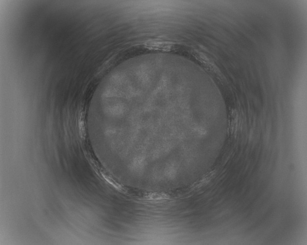 X0000082751154200702161952