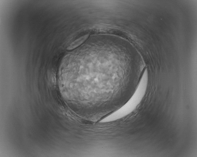 X0000082751155200702161952