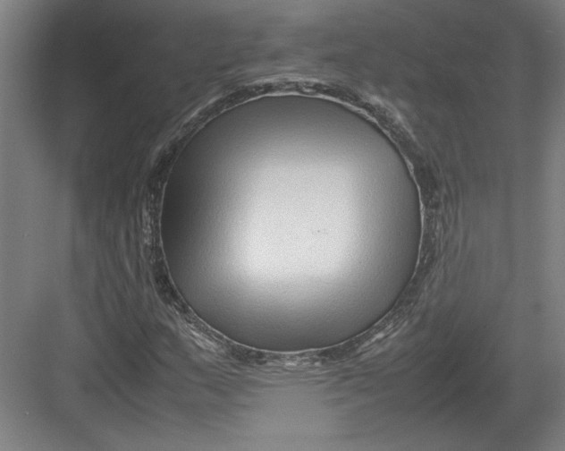 X0000082751159200702161952