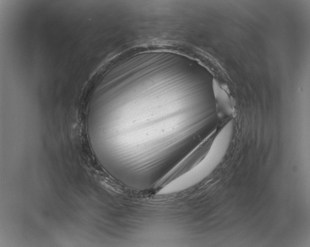 X0000082751160200702161952