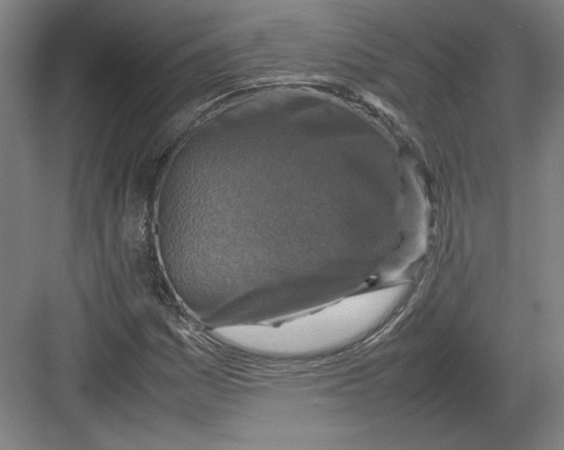 X0000082751161200702161952
