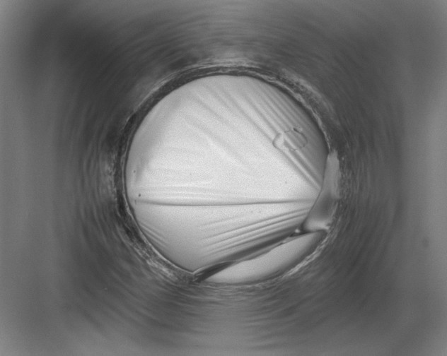 X0000082751162200702161952
