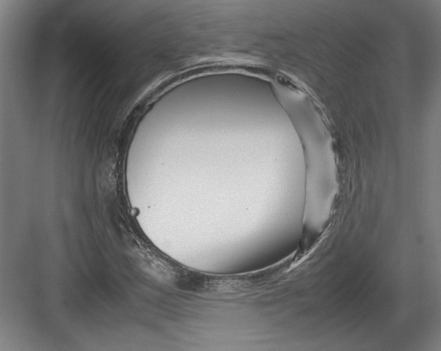 X0000082751163200702161952