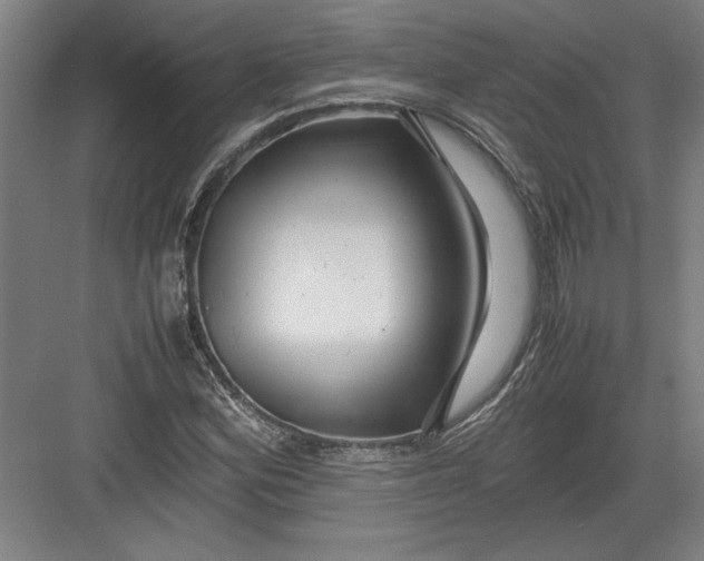 X0000082751164200702161952