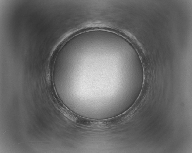 X0000082751167200702161952