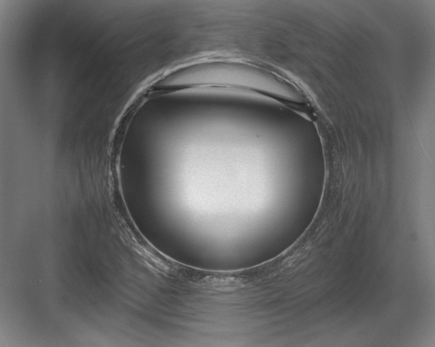 X0000082751168200702161952