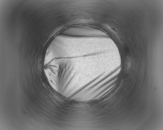 X0000082751170200702161952