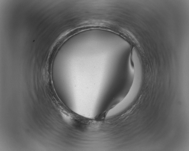 X0000082751172200702161952