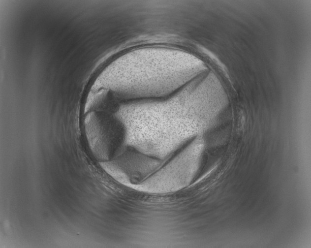 X0000082751174200702161952