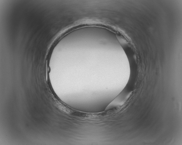 X0000082751175200702161952
