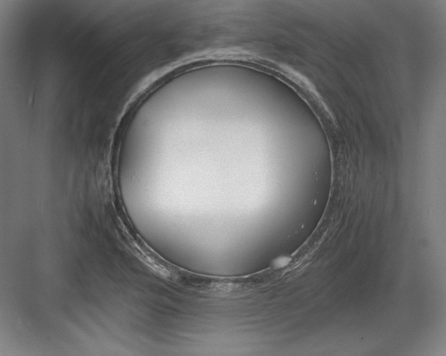 X0000082751176200702161952