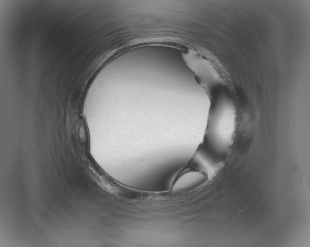 X0000082751177200702161952