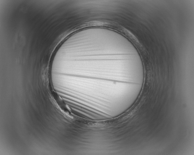 X0000082751178200702161952