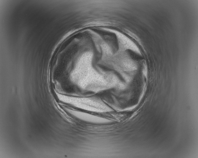 X0000082751179200702161952