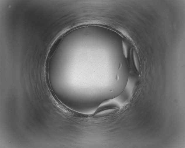 X0000082751181200702161952
