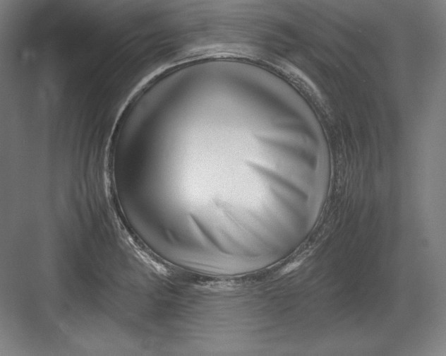 X0000082751182200702161952