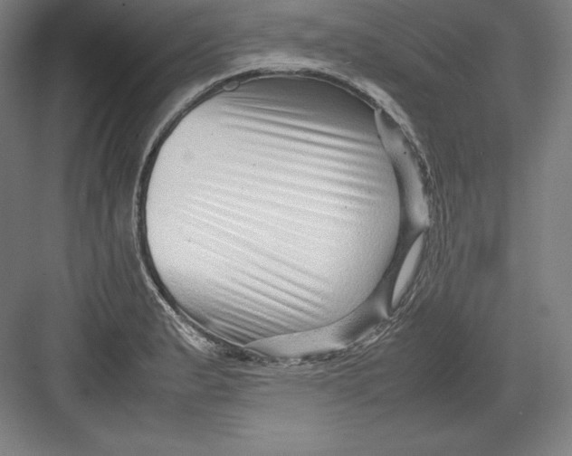 X0000082751183200702161952
