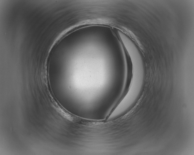 X0000082751184200702161952