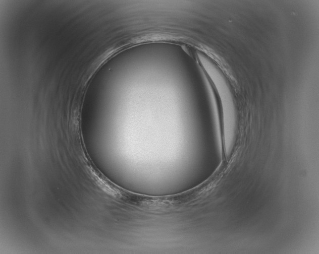 X0000082751185200702161951