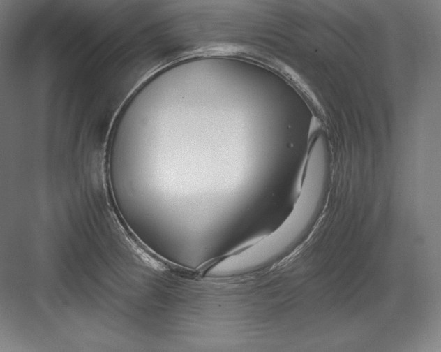 X0000082751186200702161951