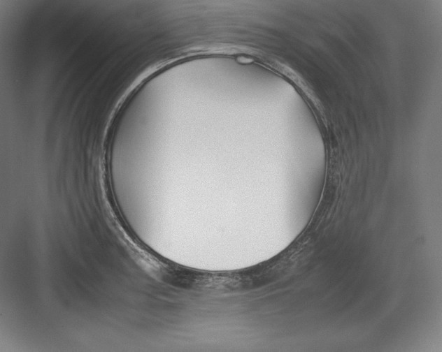 X0000082751187200702161951