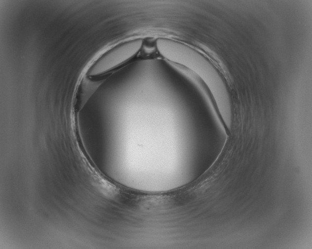 X0000082751188200702161951