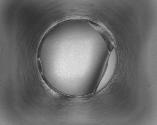 X0000082751189200702161951
