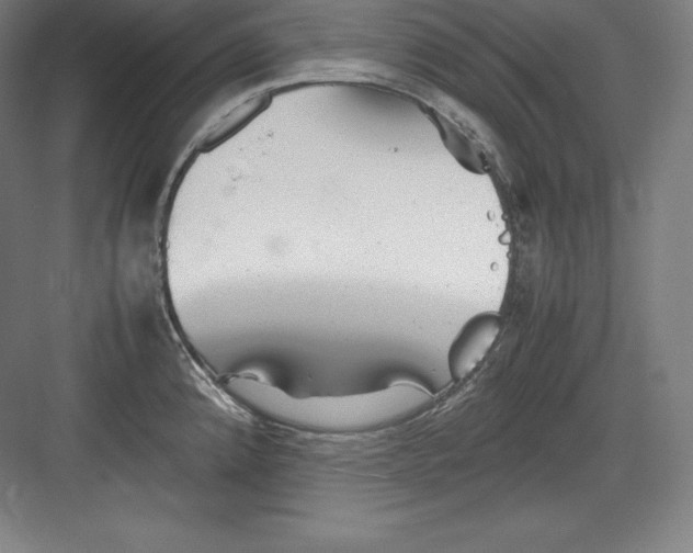 X0000082751192200702161951