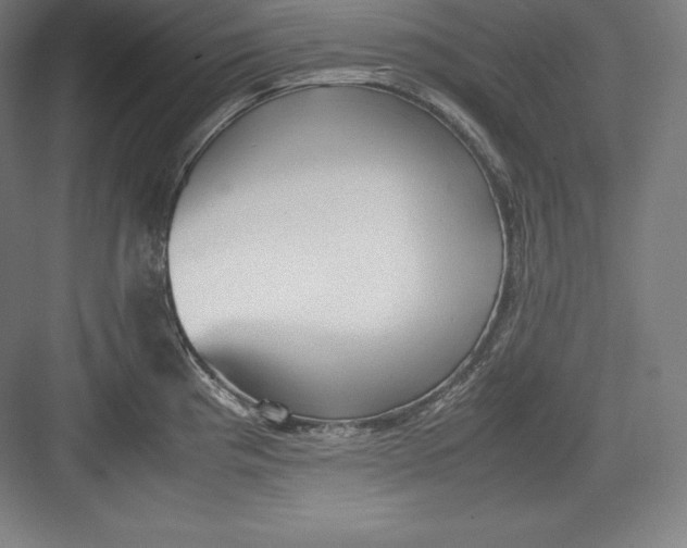 X0000082751193200702161951