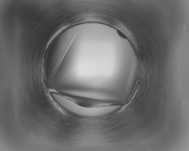 X0000082751198200702161951