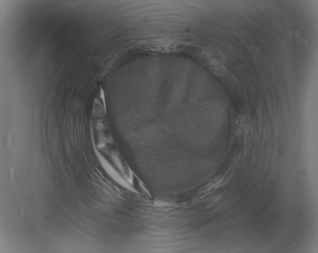 X0000082751202200702161950