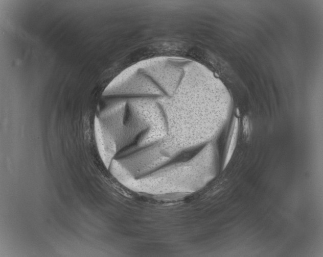 X0000082751203200702161950