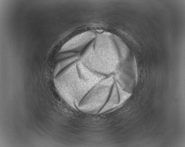 X0000082751207200702161951