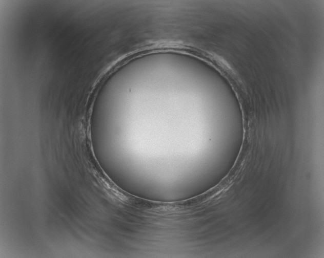 X0000082751212200702161951