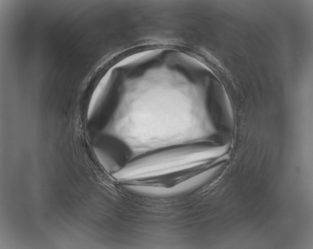 X0000082751215200702161951