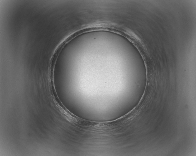 X0000082751216200702161951