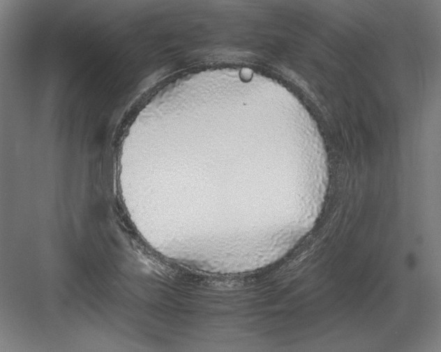 X0000082751219200702161951