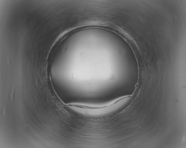 X0000082751222200702161951