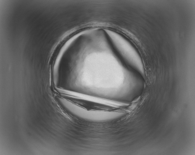 X0000082751223200702161951