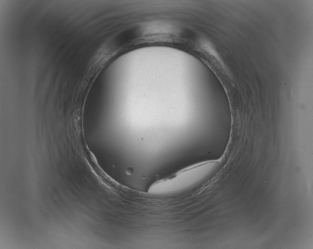 X0000082751225200702161951